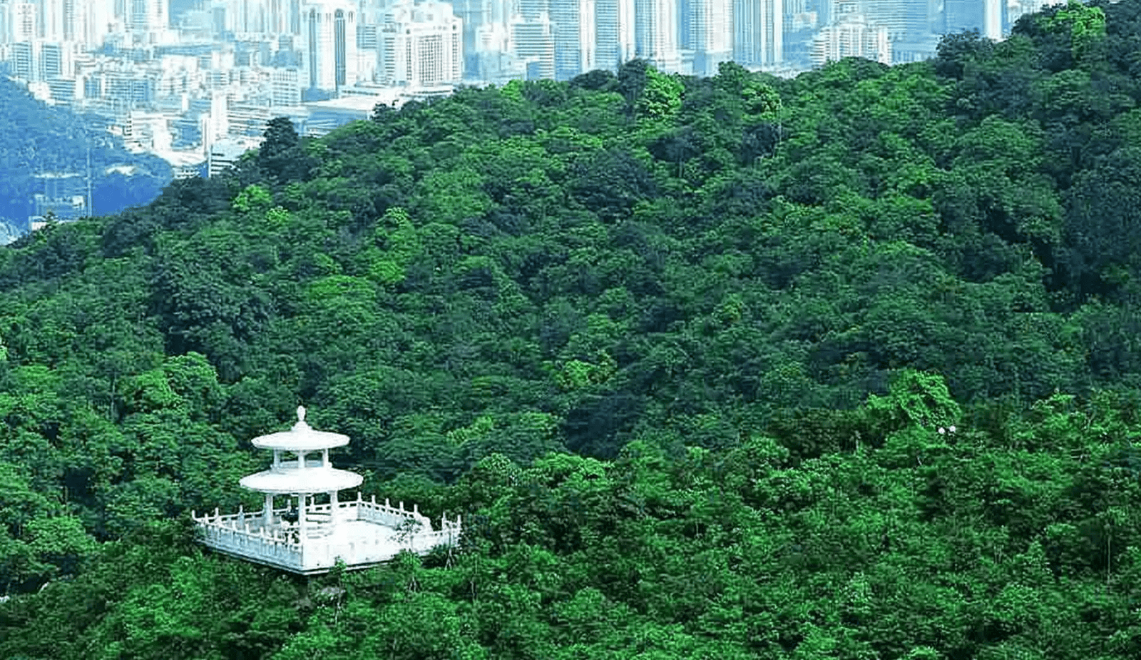 image_2026-01-28_195424251